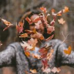 autunno_foglie_che_cadono